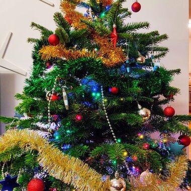 Сергей Старков (Вильнюс)